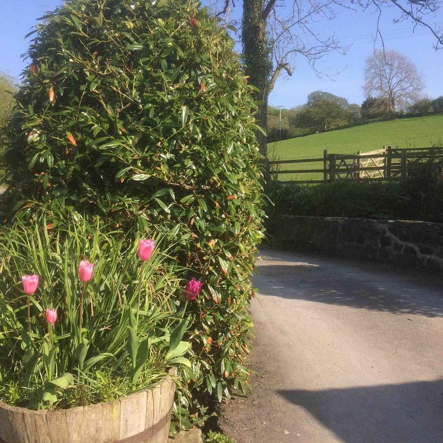Villa The Bakery Llanddeiniol Esterno foto